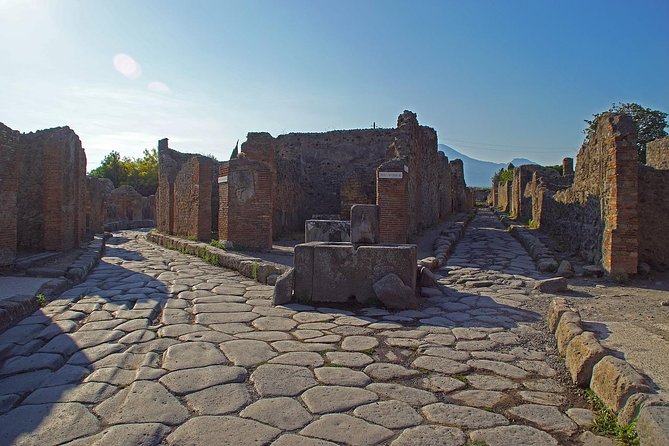 Half Day Morning Tour of Pompeii from Sorrento - What you can see in two hours