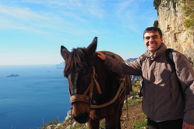 Half-Day Private Amalfi Coast Path of the Gods Hike with Lunch - Who should book this hike