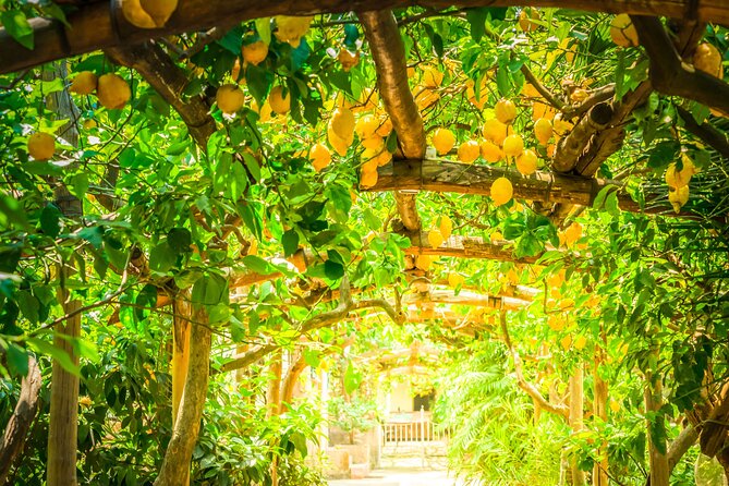 Hands-On Cooking Class & Farmhouse Tour on the Amalfi Coast - Who will enjoy this most