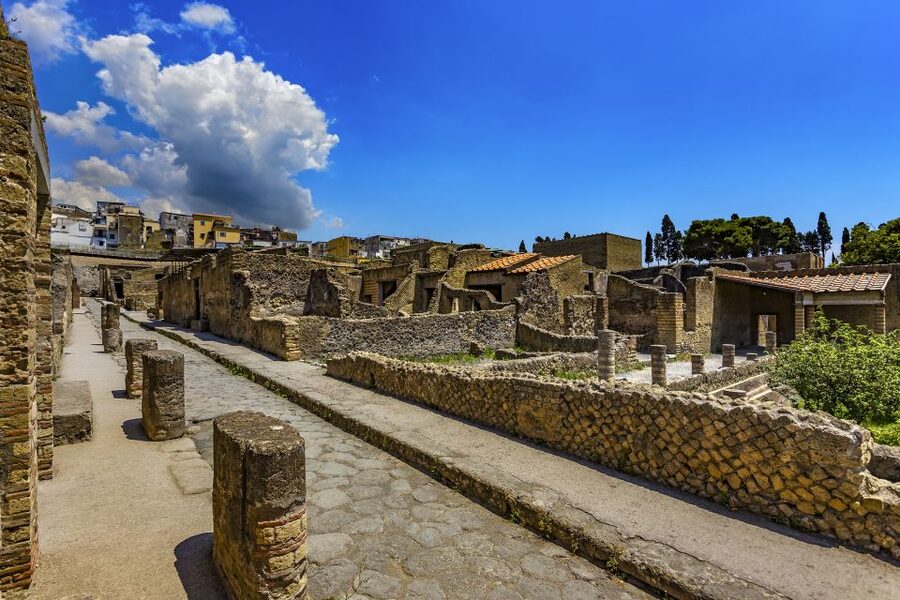 Herculaneum 2-Hour Private Guided Tour - The guides make the biggest difference