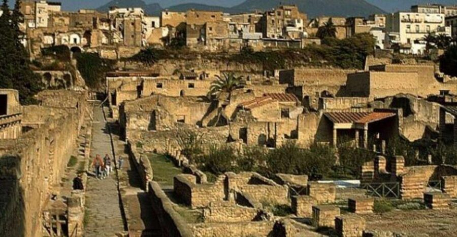 Herculaneum: 2hour Shared Guided Tour + entry tickets - Key points at a glance
