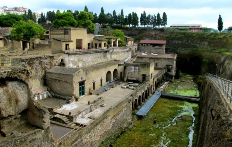 Herculaneum: 2hour Shared Guided Tour + entry tickets - Baths, workshops, and storerooms