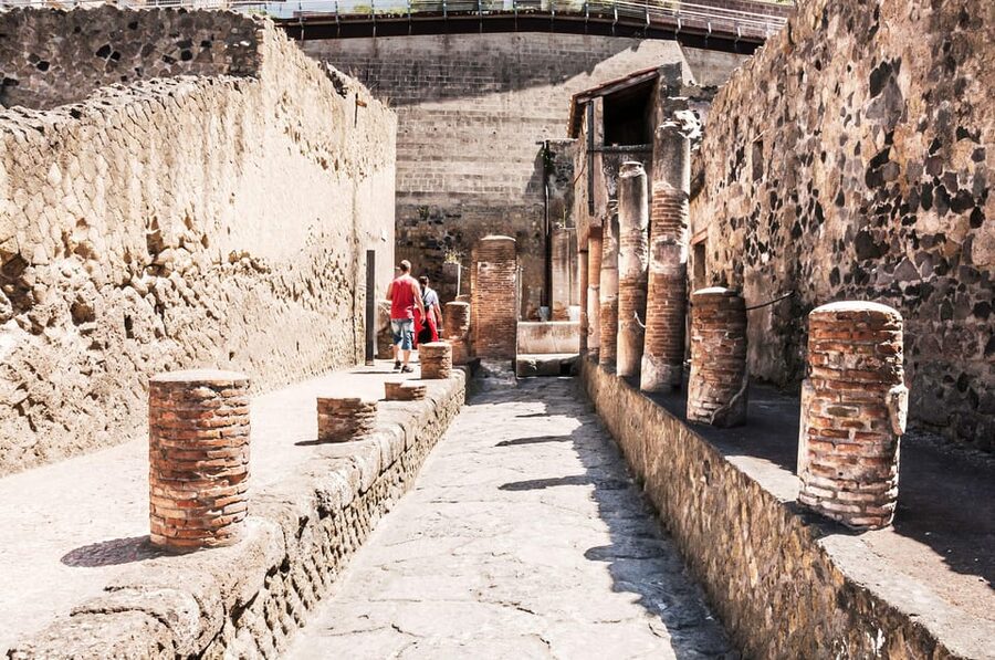 Herculaneum Guided Walking Tour with Entry Ticket - Key points to know before you book