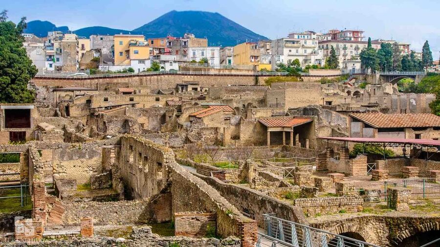 Herculaneum: Half-Day Guided Trip from Naples - Who should choose this Herculaneum trip?