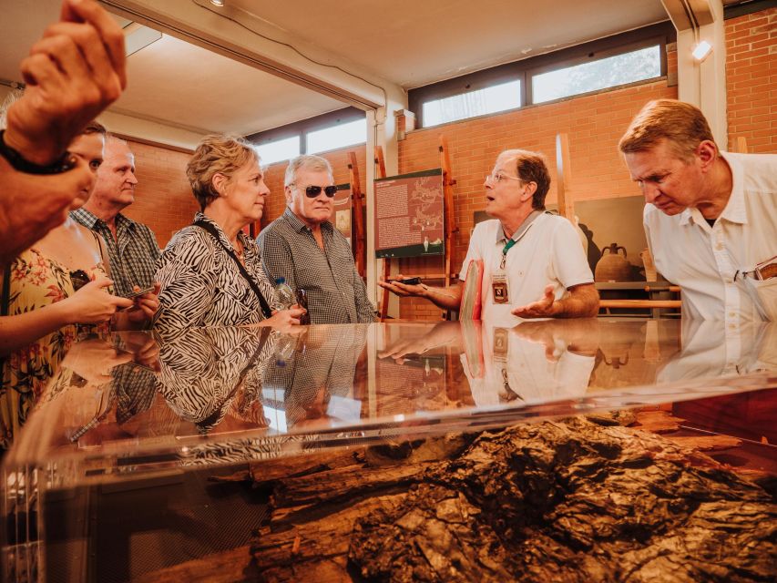 Herculaneum: Private Walking Tour with Archeologist Guide - Meeting at the archaeological park