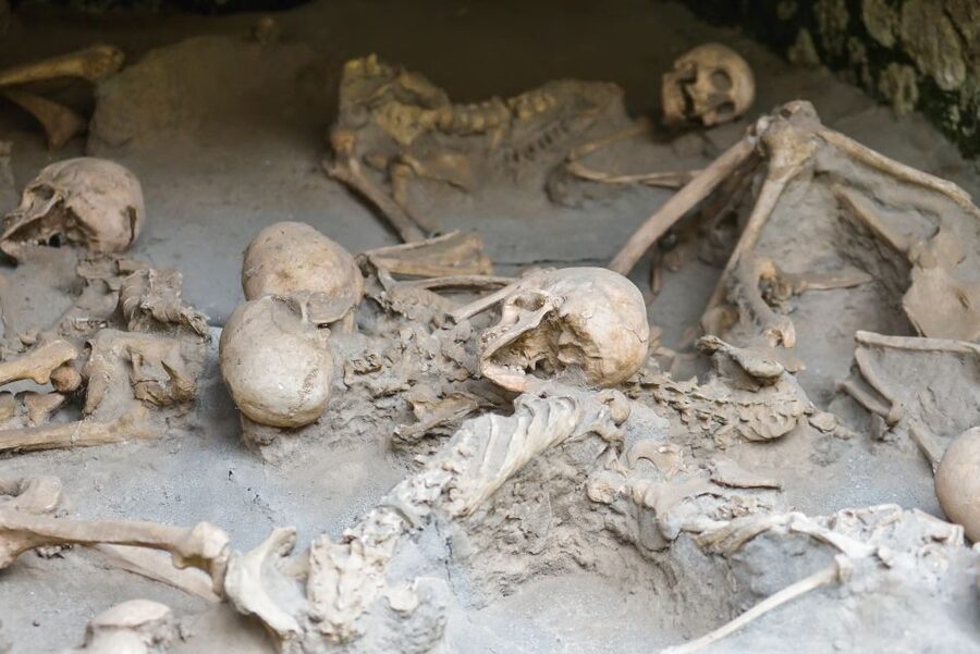 Herculaneum: Private Walking Tour with Archeologist Guide - What a private archeologist guide adds