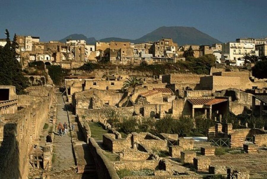 Herculaneum: Skip The Line Entrance ticket + Audioguide - Who will enjoy this experience most?