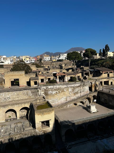 Herculaneum - Small Group Tour (admission included) - Who should choose this Herculaneum tour?