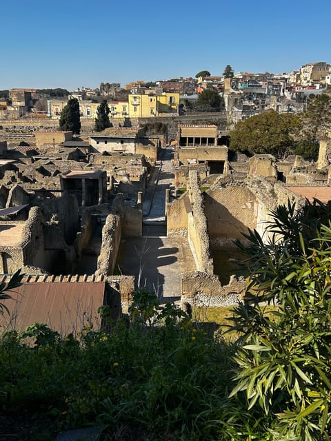Herculaneum - Small Group Tour (admission included) - How the guides shape the visit