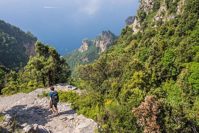 Hiking the Path of the Gods with Enzo: Amalfi Coast Adventure - What Enzo adds to the hike