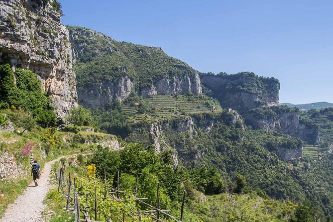 Hiking the Path of the Gods with Enzo: Amalfi Coast Adventure - Is $83.45 a fair price?
