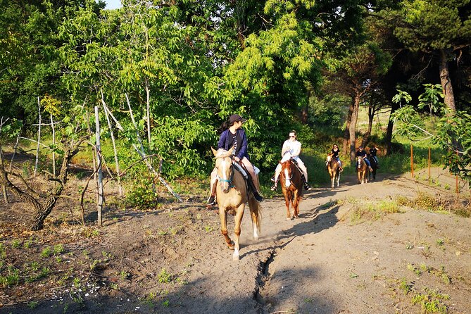 Horseback Riding on Vesuvius - Food, wine, and the welcoming stable atmosphere