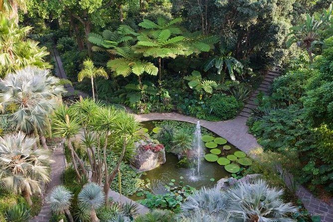 Ischia and La Mortella Gardens - What the $140.88 price covers