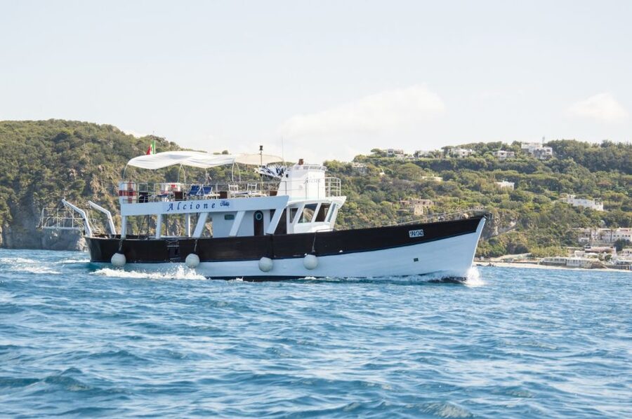 Ischia: Island Boat Tour with Neapolitan Lunch & Snorkeling - Scarrupata and San Pancrazio