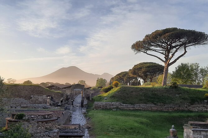 Late Afternoon Best time to visit Pompei on a private tour - Stabian Baths show how Romans spent their free time