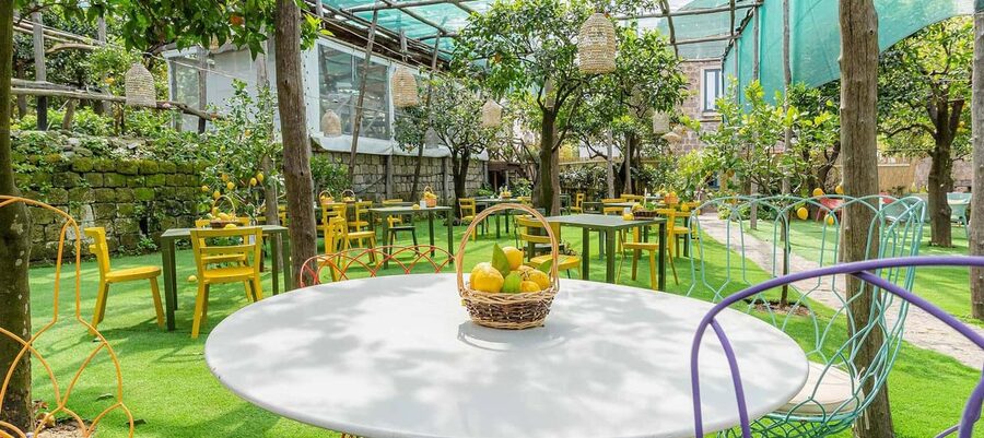 Lemon Tour with Lunch/Dinner - Why Sorrento’s lemons deserve their own tour