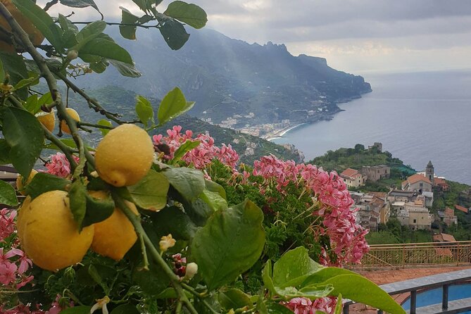 Luxury Tour from Positano to Pompei Ravello Amalfi - Amalfi for 90 minutes: cathedral, square, and harbor