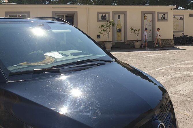 Luxury Tour from Positano to Pompeii and Naples City - What the private vehicle adds