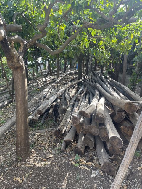 Maiori: Amalfi Coast Path of Lemons Day Trip with Tastings - What the Guides Add to the Experience