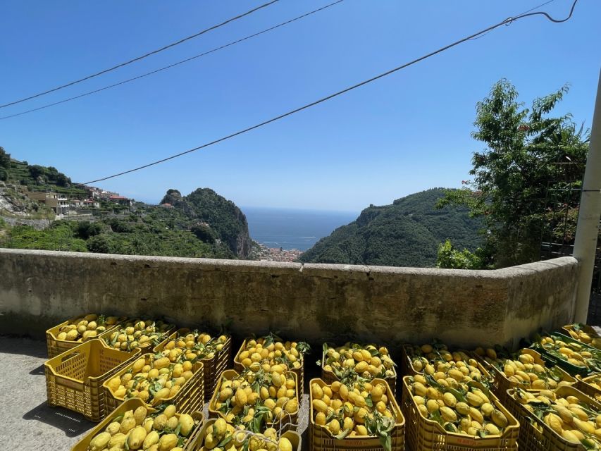 Maiori: Amalfi Coast Path of Lemons Day Trip with Tastings - Is $59 Plus €15 a Fair Price?