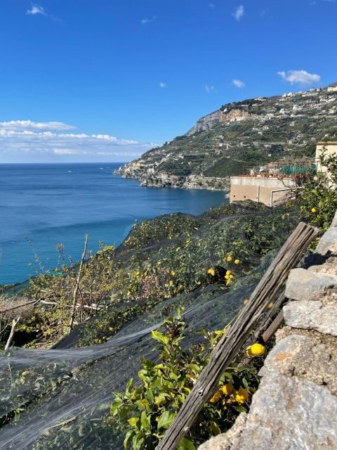 Maiori: Amalfi Coast Path of Lemons Day Trip with Tastings - Meeting in Maiori and Starting Beside Santa Maria a Mare