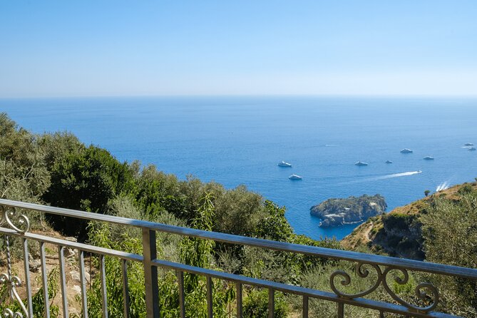 Marì Cooking Class in a Family Farm with Amalfi Coast view - Food allergies and special diets