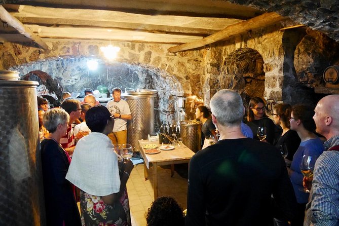 Milk the Cow & Make Mozzarella and Gnocchi with Our Family - Why this farm visit feels different from a standard cooking class