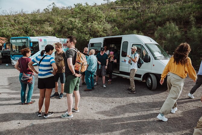 Mount Vesuvius Tour from Pompeii Led by an Expert Guide - Price, timing, and the value of included transport