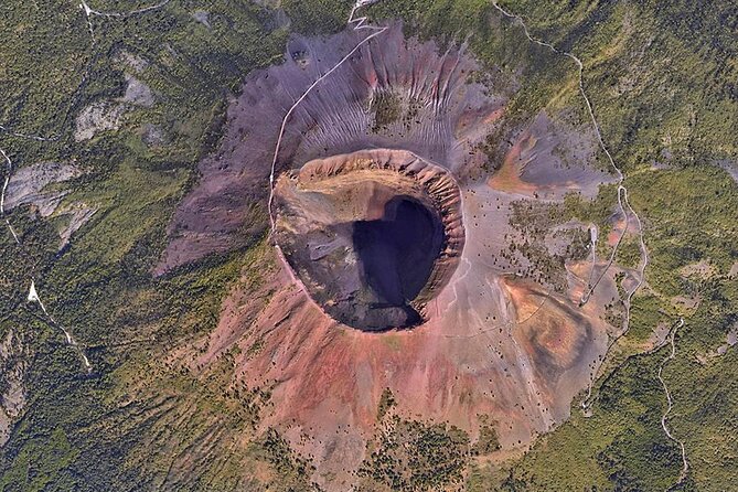 Mount Vesuvius Tour with Entry Ticket & Lunch - Walking through Vesuvius National Park