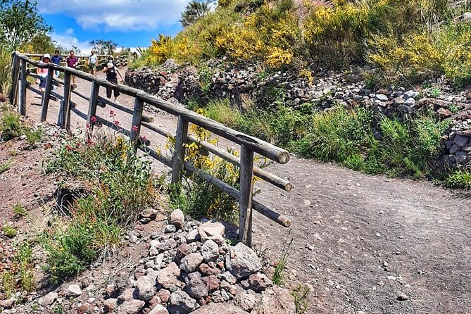 Mount Vesuvius Tour with Entry Ticket & Lunch - What the volcano walk feels like