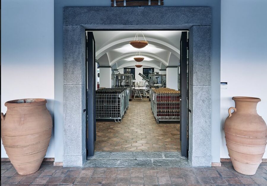 Mount Vesuvius: Vineyard Tour with Wine Tasting and Lunch - What lunch includes