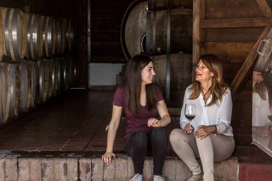 Mount Vesuvius: Vineyard Tour with Wine Tasting and Lunch - Is $65 good value?