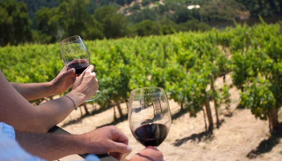 Mount Vesuvius Wine Tour with Tastings and Lunch - Is $58 a fair price?