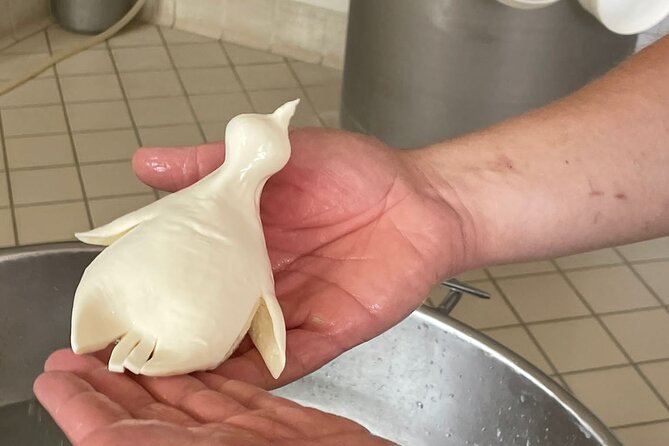 Mozzarella Experience with Tasting in Vico Equense - Angela and Antonio bring the dairy to life