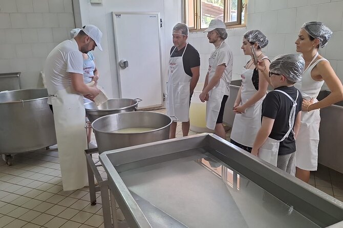 Mozzarella Experience with Tasting in Vico Equense - Is $102.25 a fair price?