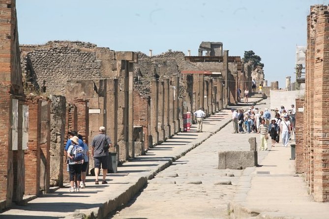 Mt. Vesuvius and Pompeii Full-Day Tour from Sorrento - What the $150.17 price really covers
