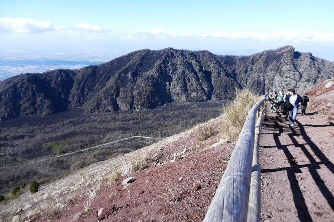 Mt. Vesuvius and Pompeii Full-Day Tour from Sorrento - Who will enjoy this day most
