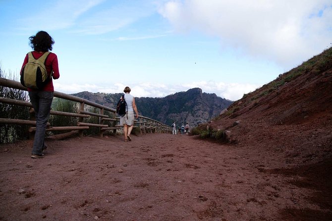 Mt Vesuvius and Pompeii Tour by Bus from Sorrento - What the guides add to the day
