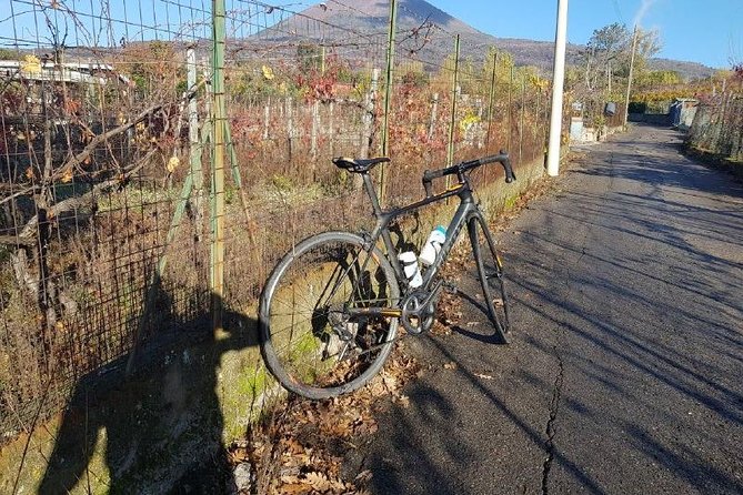 Mt Vesuvius E-Bike Tour - Booking details worth knowing