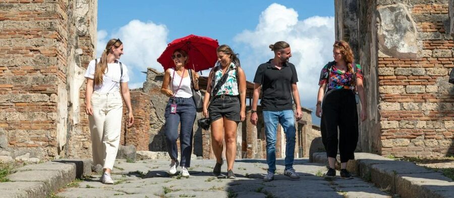 Naples: Amalfi Coast, Sorrento and Pompeii Day Trip - Practical details before you reserve