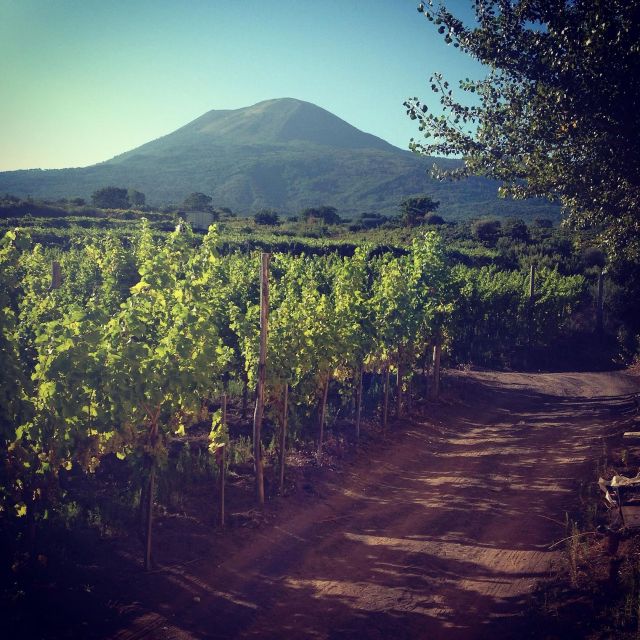 Naples: Mount Vesuvius Vineyard Tour w/ Lunch & Wine Tasting - Why the $65 price makes sense
