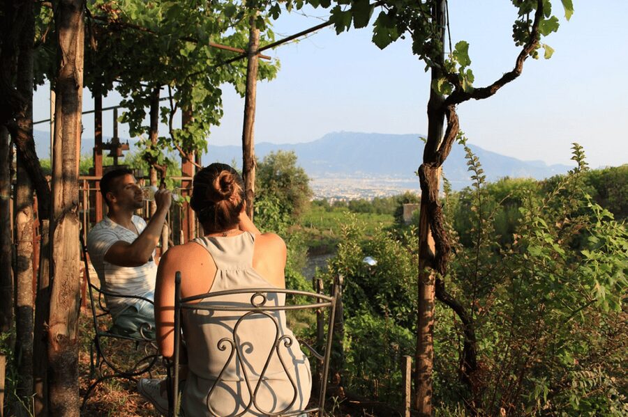 Naples: Pompeii and Herculaneum Tour with Tickets and Lunch - Pompeii, where Roman life spreads across the map
