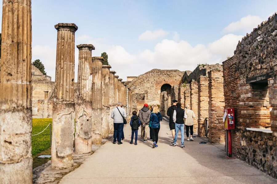 Naples: Pompeii and Mt. Vesuvius with Lunch and Wine Tasting - Who should book this tour