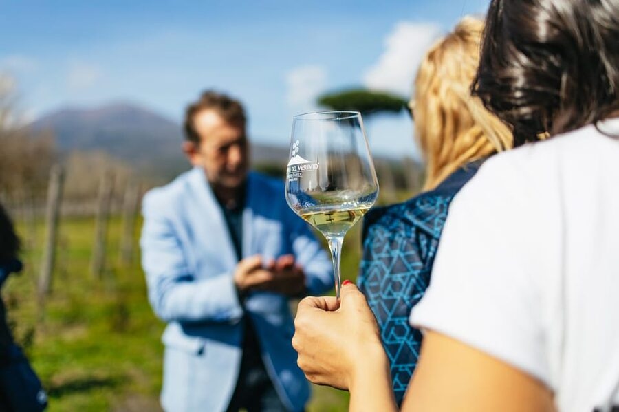Naples: Pompeii and Mt. Vesuvius with Lunch and Wine Tasting - Meeting your guide in central Naples