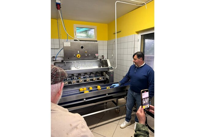 Nonno Mario Sorrento Lemon tour - Key points to know before you book