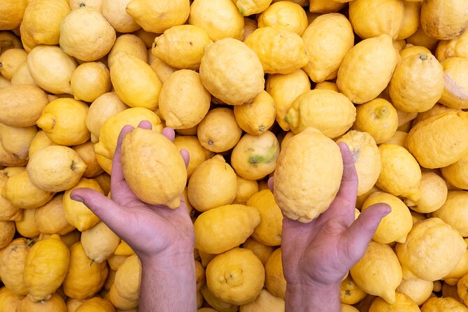 Nonno Mario Sorrento Lemon tour - A homemade limoncello Spritz starts the visit