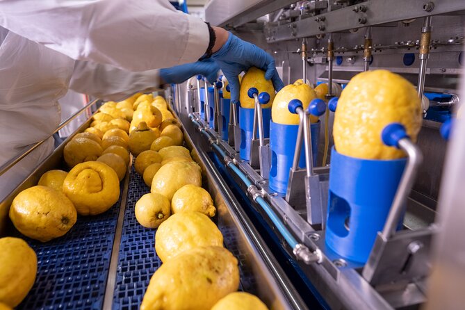 Nonno Mario Sorrento Lemon tour - What the $77.44 price really covers