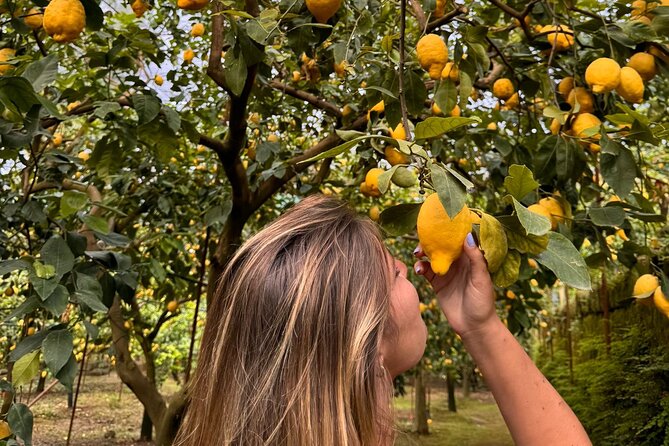 Nonno Mario Sorrento Lemon tour - Who will enjoy this experience most