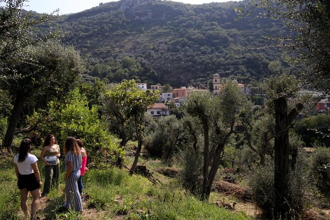 Olive oil tasting in Sorrento - Who will enjoy this most