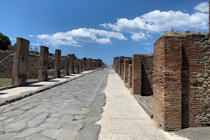 Once upon a time Pompeii 2 and a half hour tour - Is $48.19 plus €20 a fair price?